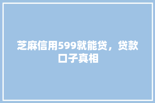 芝麻信用599就能贷，贷款口子真相