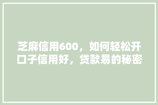 芝麻信用600，如何轻松开口子信用好，贷款易的秘密