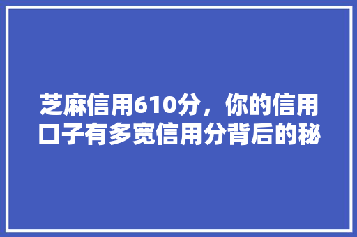 芝麻信用610分，你的信用口子有多宽信用分背后的秘密
