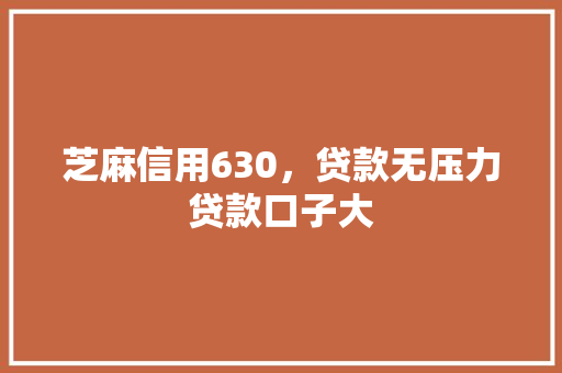 芝麻信用630，贷款无压力贷款口子大