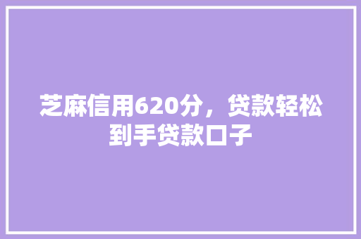 芝麻信用620分，贷款轻松到手贷款口子