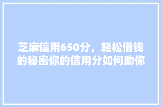 芝麻信用650分，轻松借钱的秘密你的信用分如何助你轻松贷款