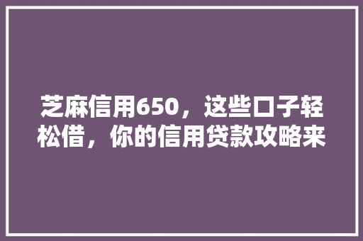 芝麻信用650，这些口子轻松借，你的信用贷款攻略来了
