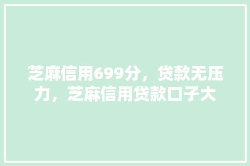 芝麻信用699分，贷款无压力，芝麻信用贷款口子大