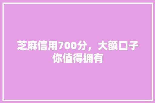 芝麻信用700分，大额口子你值得拥有