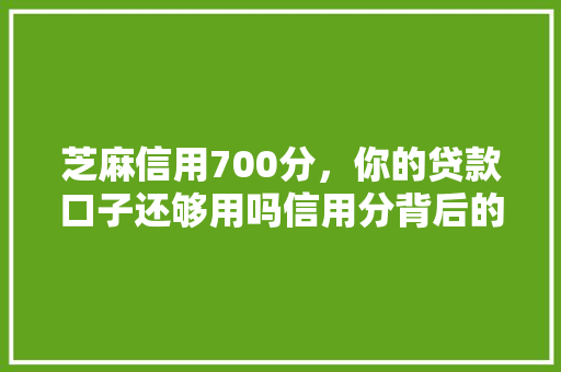 芝麻信用700分，你的贷款口子还够用吗信用分背后的贷款奥秘