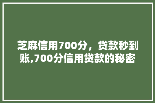 芝麻信用700分，贷款秒到账,700分信用贷款的秘密