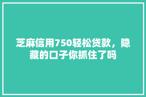 芝麻信用750轻松贷款，隐藏的口子你抓住了吗