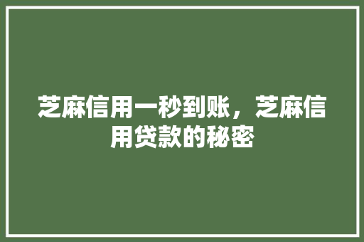 芝麻信用一秒到账，芝麻信用贷款的秘密  第1张
