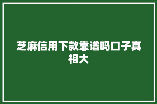 芝麻信用下款靠谱吗口子真相大