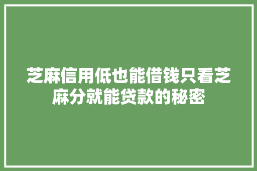 芝麻信用低也能借钱只看芝麻分就能贷款的秘密