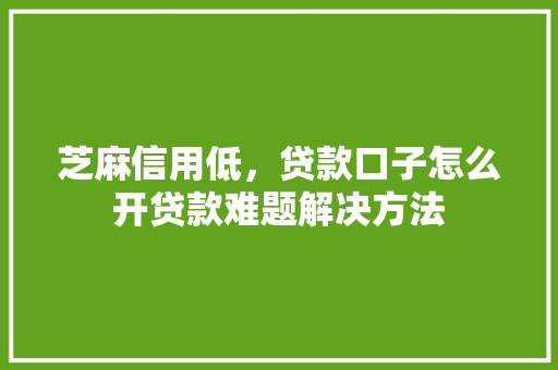 芝麻信用低，贷款口子怎么开贷款难题解决方法  第1张