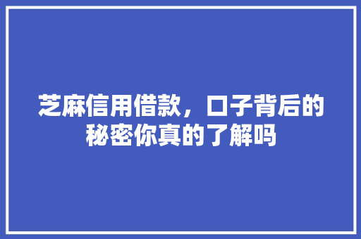 芝麻信用借款，口子背后的秘密你真的了解吗