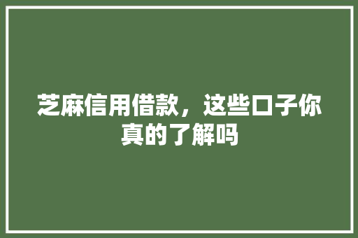 芝麻信用借款，这些口子你真的了解吗