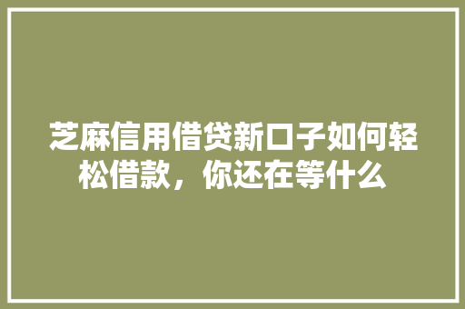 芝麻信用借贷新口子如何轻松借款，你还在等什么