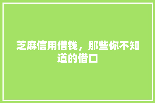芝麻信用借钱，那些你不知道的借口