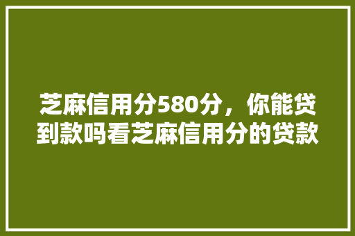 芝麻信用分580分，你能贷到款吗看芝麻信用分的贷款口子