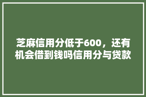 芝麻信用分低于600，还有机会借到钱吗信用分与贷款之间的微妙关系
