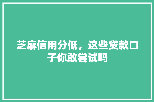 芝麻信用分低，这些贷款口子你敢尝试吗