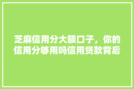 芝麻信用分大额口子，你的信用分够用吗信用贷款背后的真相