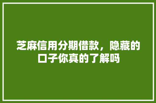 芝麻信用分期借款，隐藏的口子你真的了解吗