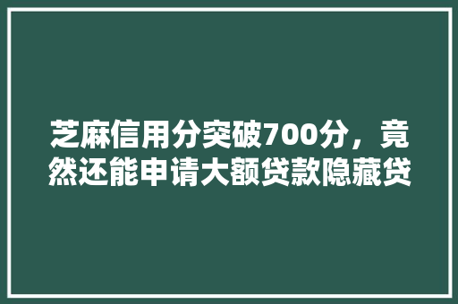 芝麻信用分突破700分，竟然还能申请大额贷款隐藏贷款口子贷款界的秘密武器