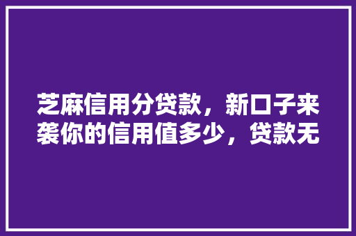 芝麻信用分贷款，新口子来袭你的信用值多少，贷款无压力