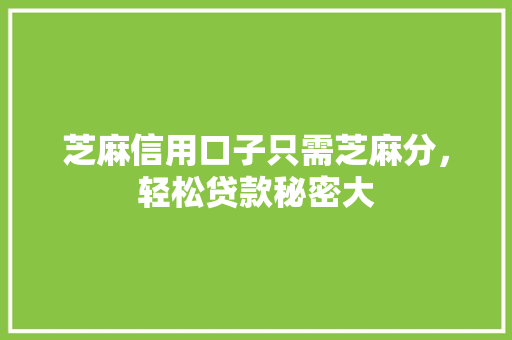 芝麻信用口子只需芝麻分，轻松贷款秘密大