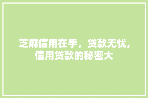 芝麻信用在手，贷款无忧,信用贷款的秘密大