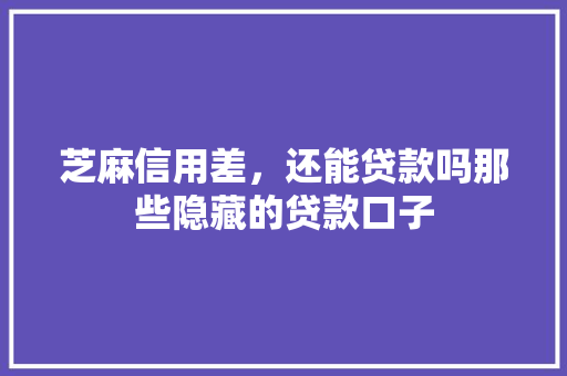 芝麻信用差，还能贷款吗那些隐藏的贷款口子
