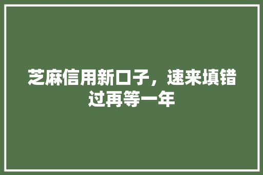 芝麻信用新口子，速来填错过再等一年