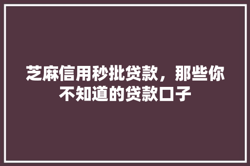 芝麻信用秒批贷款，那些你不知道的贷款口子