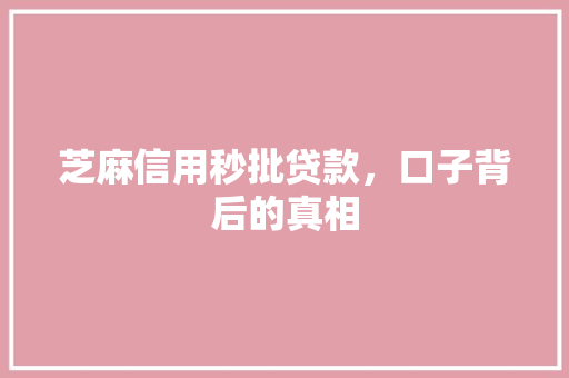 芝麻信用秒批贷款，口子背后的真相