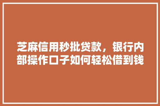 芝麻信用秒批贷款，银行内部操作口子如何轻松借到钱