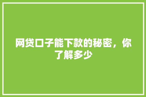 网贷口子能下款的秘密，你了解多少