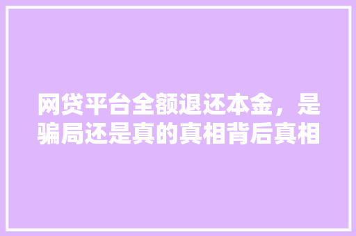 网贷平台全额退还本金，是骗局还是真的真相背后真相