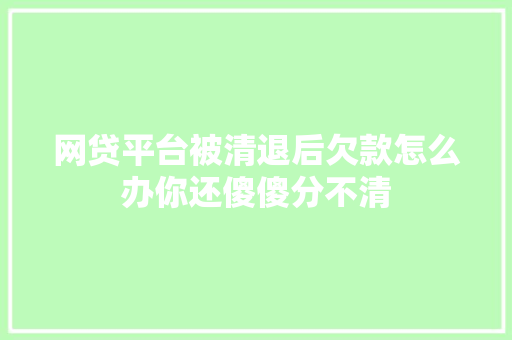 网贷平台被清退后欠款怎么办你还傻傻分不清