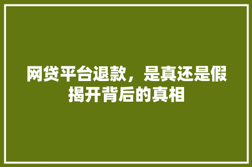 网贷平台退款，是真还是假揭开背后的真相
