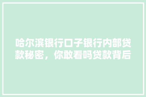 哈尔滨银行口子银行内部贷款秘密，你敢看吗贷款背后的真相