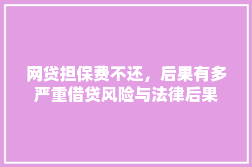 网贷担保费不还，后果有多严重借贷风险与法律后果