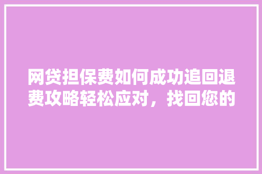 网贷担保费如何成功追回退费攻略轻松应对，找回您的权益