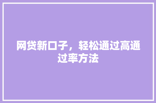 网贷新口子，轻松通过高通过率方法