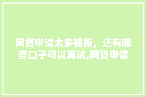 网贷申请太多被拒，还有哪些口子可以再试,网贷申请攻略