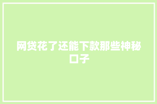 网贷花了还能下款那些神秘口子
