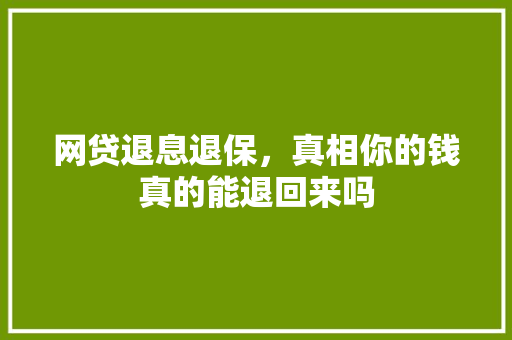 网贷退息退保，真相你的钱真的能退回来吗