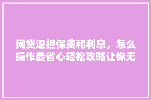网贷退担保费和利息，怎么操作最省心轻松攻略让你无忧还款  第1张