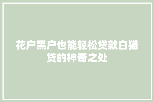 花户黑户也能轻松贷款白猫贷的神奇之处