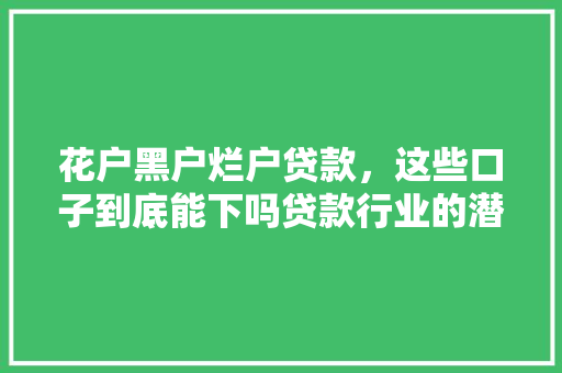 花户黑户烂户贷款，这些口子到底能下吗贷款行业的潜规则