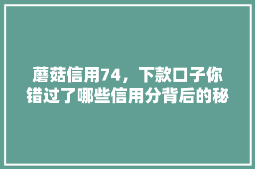 蘑菇信用74，下款口子你错过了哪些信用分背后的秘密