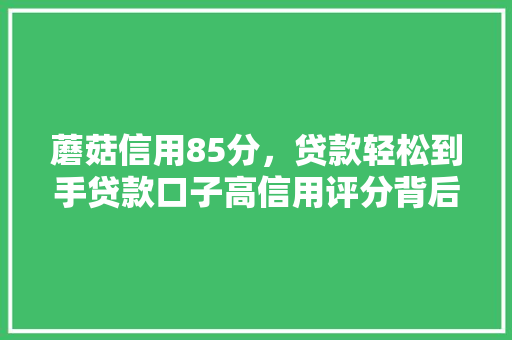 蘑菇信用85分，贷款轻松到手贷款口子高信用评分背后的秘密  第1张